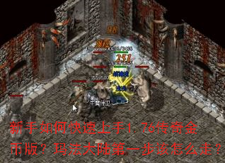 ������ο�������1.76�����Ұ棿�귨��½��һ������ô�ߣ�