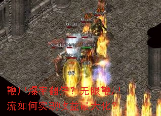 ��ʬ���ʷ��������ޱ�ʬ�����ʵ��������󻯣�