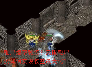 ��ʬ���ʷ��������ޱ�ʬ�����ʵ��������󻯣�