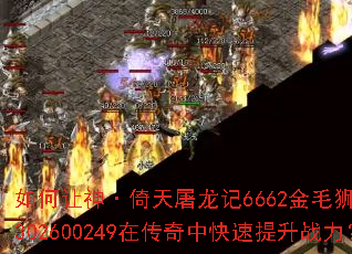 如何让神·倚天屠龙记6662金毛狮王谢逊302600249在传奇中快速提升战力? 如何让神·倚天屠龙记6662金毛狮王谢逊302600249在传奇中快速提升战力?