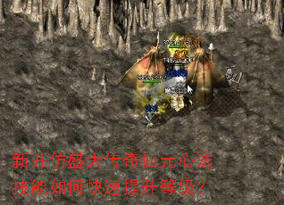 新开仿盛大传奇仙元心法技能如何快速提升等级? 新开仿盛大传奇仙元心法技能如何快速提升等级?