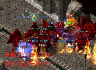 ѪȾ�Դ���������ο�������ս����