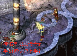 ���ӵ�ְҵ����������ο������֣�