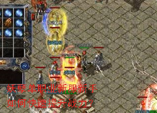 ������ְҵ�·�������ο�������ս����