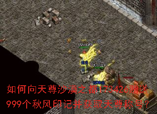 ���������ɳĮ֮��173426����999�����ӡ�ǲ���ȡ����ƺţ�