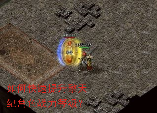 ��ο�����������ͽ�ɫս���ȼ���