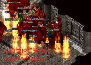 ��ο�����������ͽ�ɫս���ȼ���