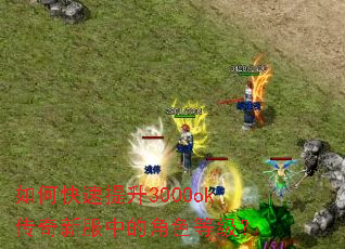 ��ο�������3000ok�����·��еĽ�ɫ�ȼ���