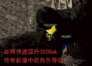 ��ο�������3000ok�����·��еĽ�ɫ�ȼ���