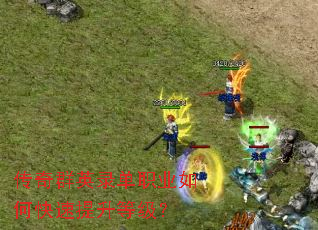 ����ȺӢ¼��ְҵ��ο��������ȼ���