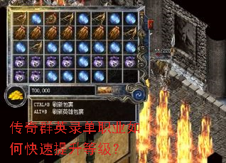 ����ȺӢ¼��ְҵ��ο��������ȼ���