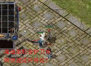 ħ����ְҵ������ο��������ȼ���