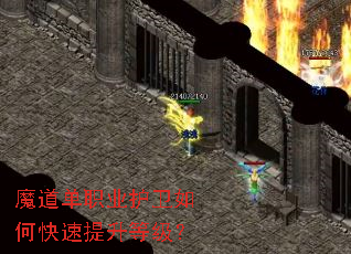 ħ����ְҵ������ο��������ȼ���