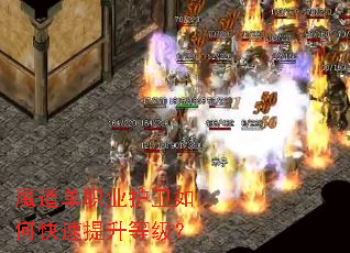 ħ����ְҵ������ο��������ȼ���