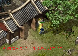 �񷣽ٵ�ְҵ��ο��������ȼ���