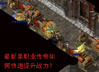 ���µ�ְҵ������ο�������ս����