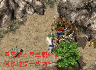 ʥ����弾��ְҵ��ο�������ս����