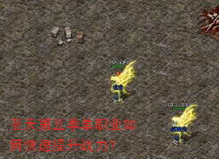 ʥ����弾��ְҵ��ο�������ս����