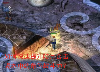 ��ο���������ºϻ��汾�еĽ�ɫս������