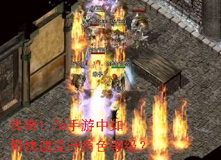 ����1.76��������ο���������ɫ�ȼ���