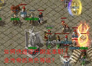 ��ο�������������ְҵ����Ľ�ɫ�ȼ���