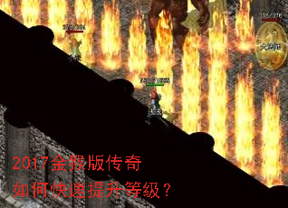 2017���洫����ο��������ȼ���