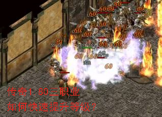 ����1.80��ְҵ��ο��������ȼ���