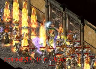 ��ο������������¿�ս����