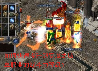 ��ο�����������ħ֮��ְҵ��ս�����ȼ���