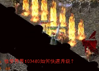 ���޽��103480��ο���������