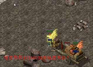 ���޽��103480��ο���������