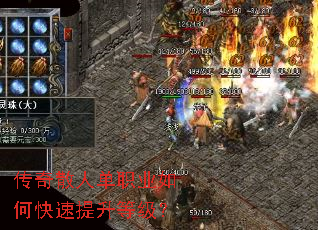 ����ɢ�˵�ְҵ��ο��������ȼ���