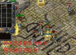 ����ǵ�ְҵ������ο�������ս����