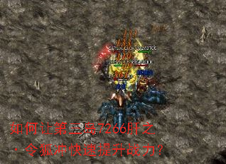 ����õ�����7266��֮��������������ս����