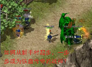 ��δ����ִ��𲽣�һ������Ϊ��Ѫ�����ս��