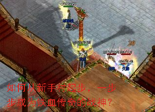 ��δ����ִ��𲽣�һ������Ϊ��Ѫ�����ս��