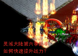 �����½������������ο�������ս����