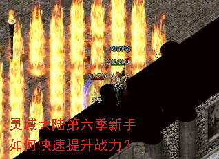 �����½������������ο�������ս����