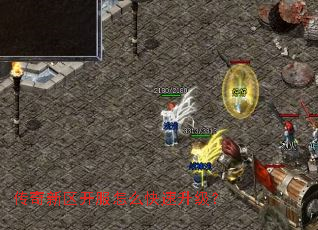 ��������������ô����������