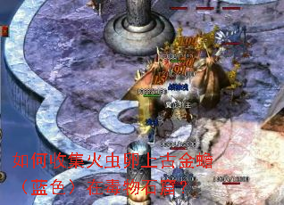 ����ռ�������ϹŽ�󸣨��ɫ���ڶ���ʯ�ߣ�