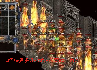 ��ο������������鴫��ս������