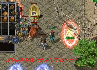 ��ο������������鴫��ս������