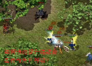 ��ο���������ս�ϻ������ɫ�ȼ���