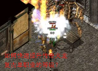 ��ο�����������������ŵ�ְҵ�ĵȼ���