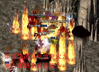 ��ο�����������������ŵ�ְҵ�ĵȼ���