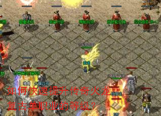 ��ο�����������������ŵ�ְҵ�ĵȼ���