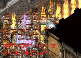 ��ο�����������������ŵ�ְҵ�ĵȼ���