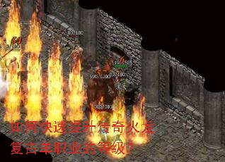 ��ο�����������������ŵ�ְҵ�ĵȼ���