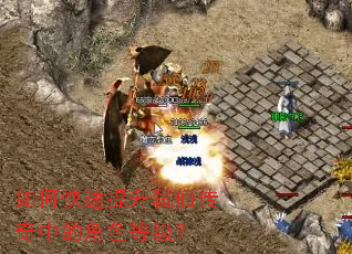 ��ο�������߱�ɴ����еĽ�ɫ�ȼ���