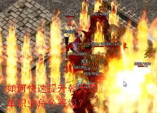 ��ο�����������ٵ�ְҵ��ɫ�ȼ���